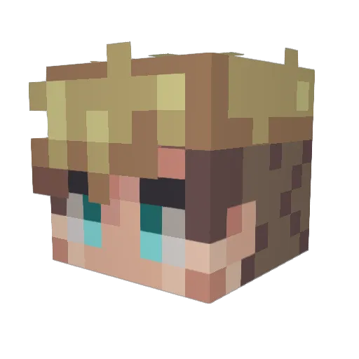 BroadStandard Minecraft avatar head, 3D render
