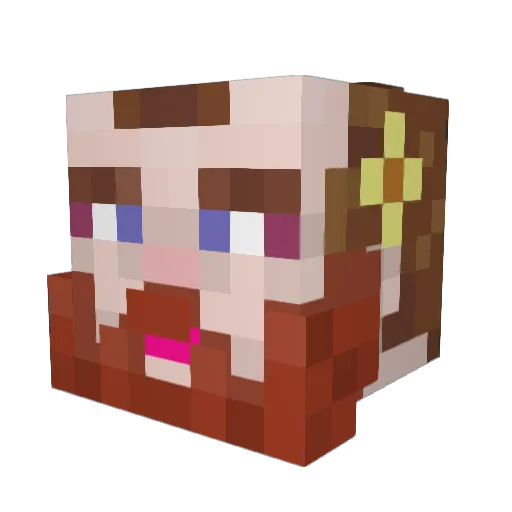 Brobarian64 Minecraft avatar head, 3D render