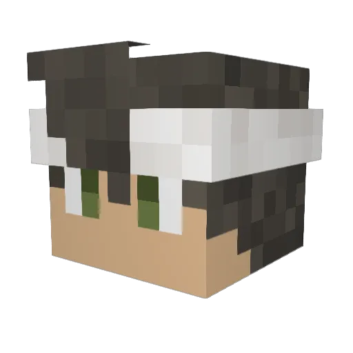 BrocAsn Minecraft avatar head, 3D render