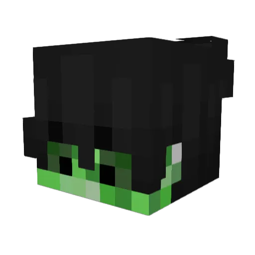 BroccoliNuggets Minecraft avatar head, 3D render