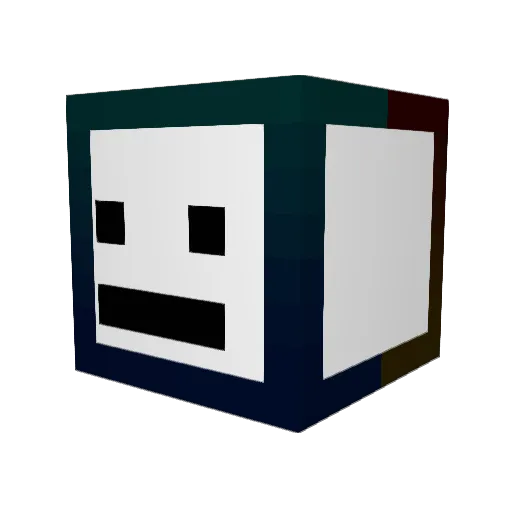 Broccolli0Ninja Minecraft avatar head, 3D render