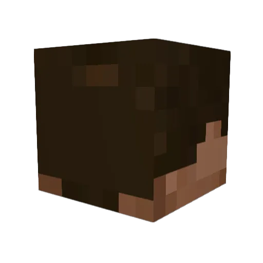 Brochile Minecraft avatar head, 3D render