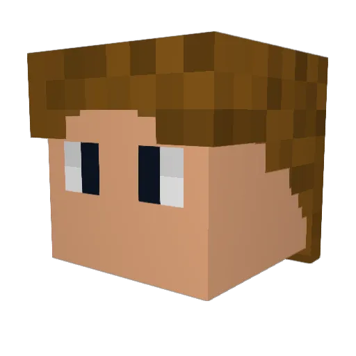 Brock3135 Minecraft avatar head, 3D render