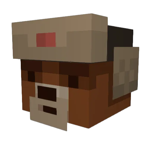 Brock4ge Minecraft avatar head, 3D render