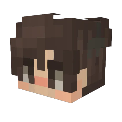 BrockBoland Minecraft avatar head, 3D render