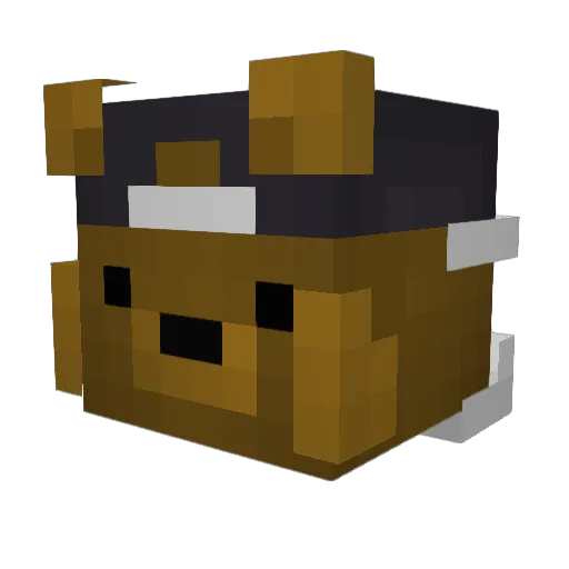 Brockland Minecraft avatar head, 3D render