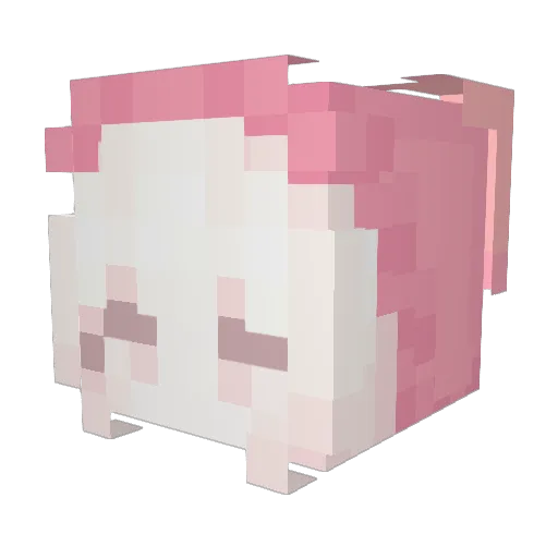 Brocolisse Minecraft avatar head, 3D render
