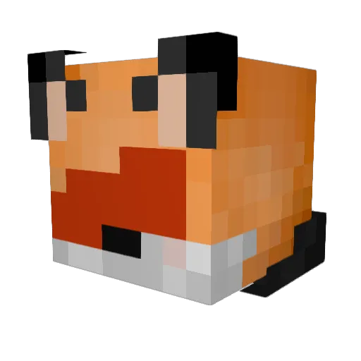 Brodee45 Minecraft avatar head, 3D render