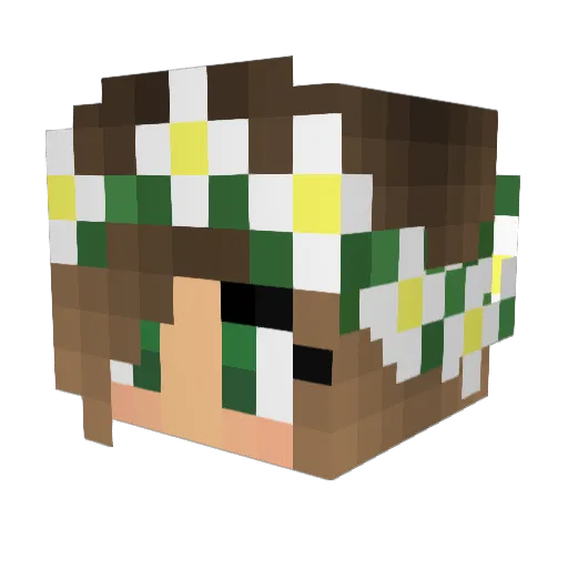 Brodienaruto1 Minecraft avatar head, 3D render
