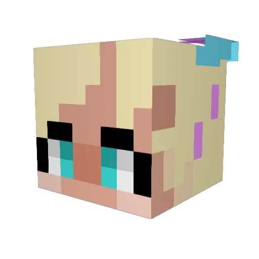 Brodo1 Minecraft avatar head, 3D render