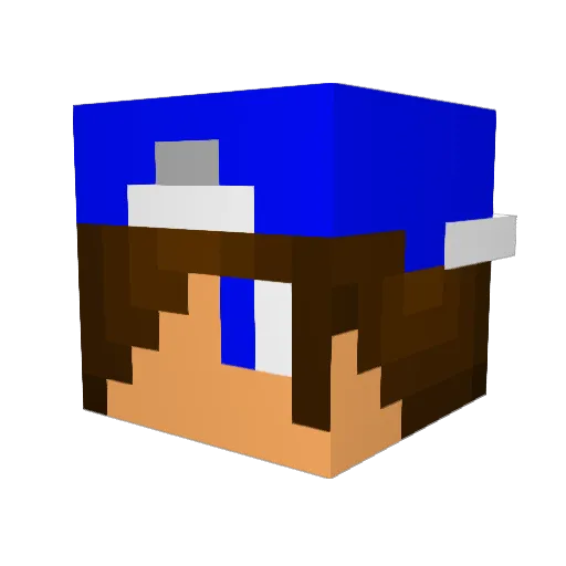 Brodocorp Minecraft avatar head, 3D render