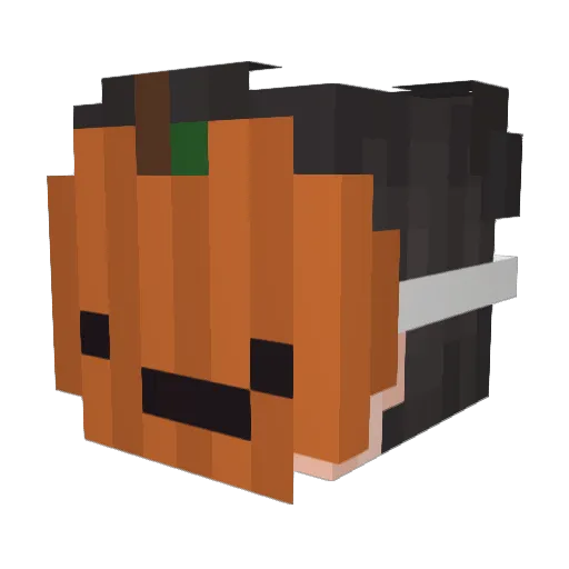 Brodster1312 Minecraft avatar head, 3D render