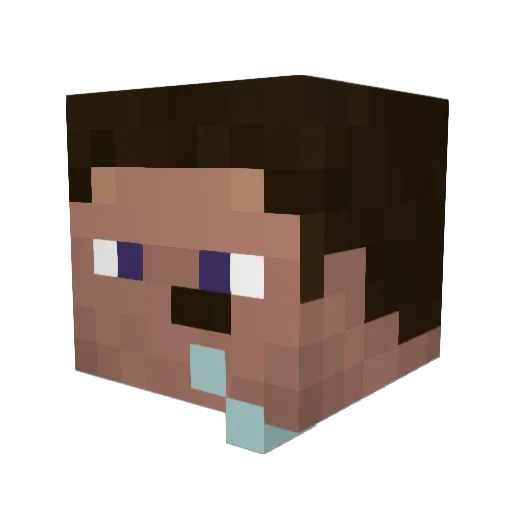 Brody148 Minecraft avatar head, 3D render