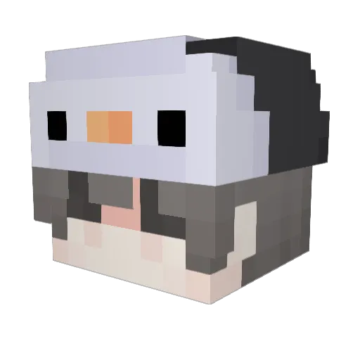 BrodyThePenguin Minecraft avatar head, 3D render