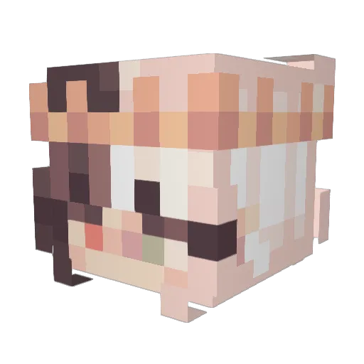 Brodyankel Minecraft avatar head, 3D render