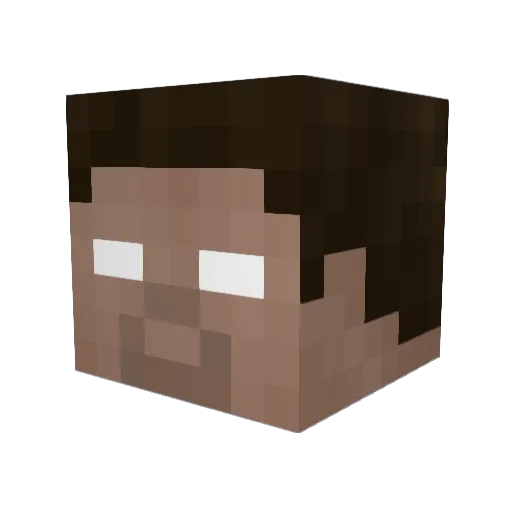 BroederSam Minecraft avatar head, 3D render