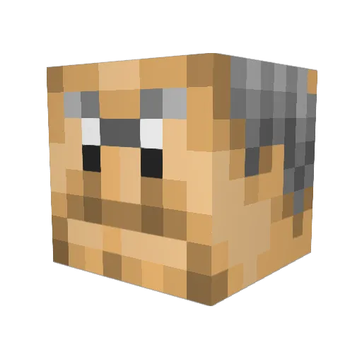 Broekie83 Minecraft avatar head, 3D render