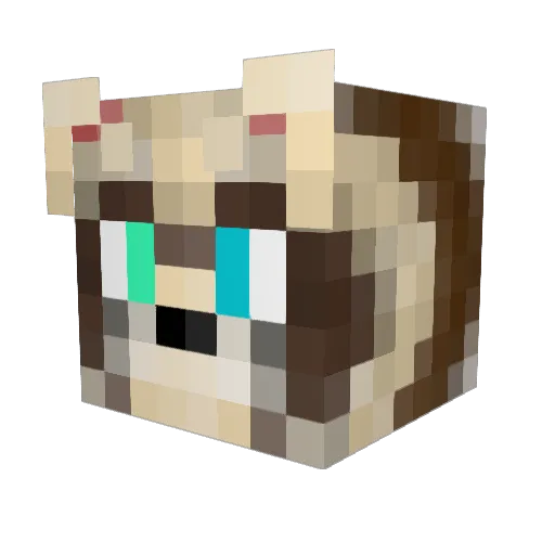 Brofescini Minecraft avatar head, 3D render