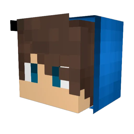 Brofish05 Minecraft avatar head, 3D render