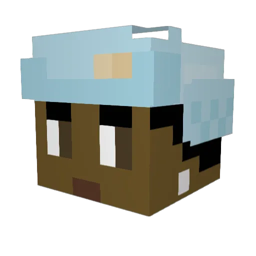 Broflew Minecraft avatar head, 3D render