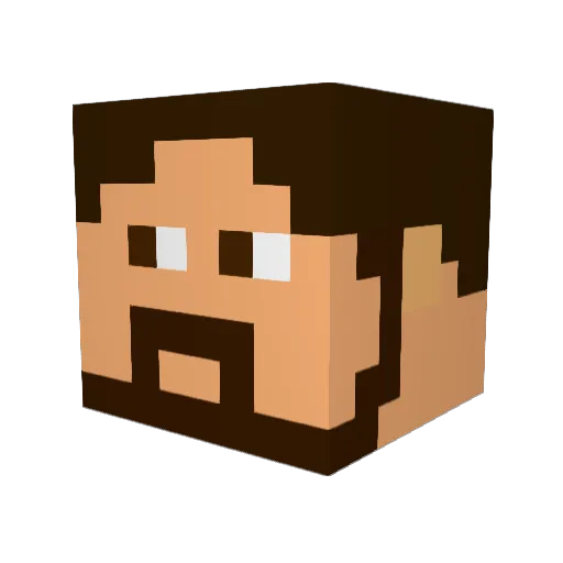 Broforlife271213 Minecraft avatar head, 3D render