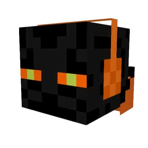 Brohan21 Minecraft avatar head, 3D render
