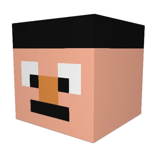 Brohlin05 Minecraft avatar head, 3D render