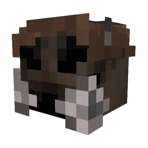 Broholdmy44 Minecraft avatar head, 3D render