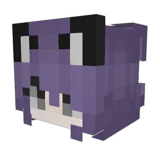 BrokenEclipse96 Minecraft avatar head, 3D render