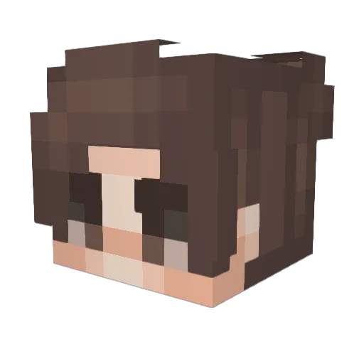 BrokenMan123 Minecraft avatar head, 3D render