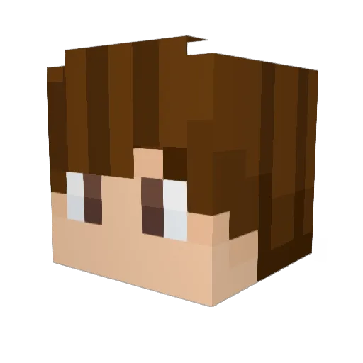 BrokenPixelMc Minecraft avatar head, 3D render