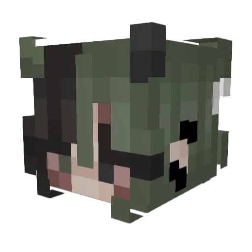 BrokenRecords Minecraft avatar head, 3D render