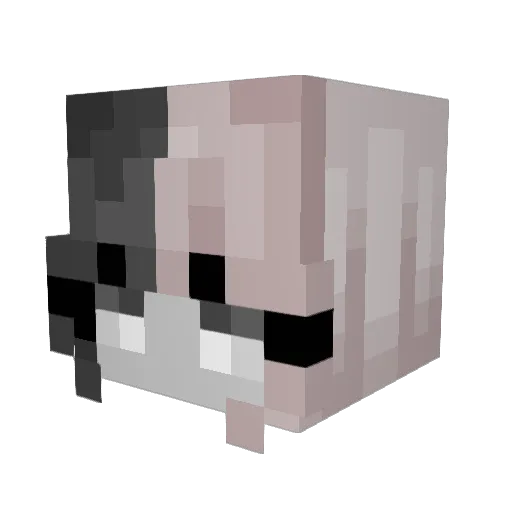 BrokenSoul404 Minecraft avatar head, 3D render