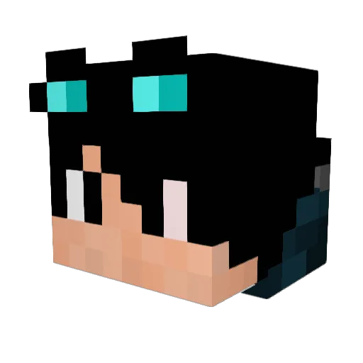 BrokenSw0rd17 Minecraft avatar head, 3D render