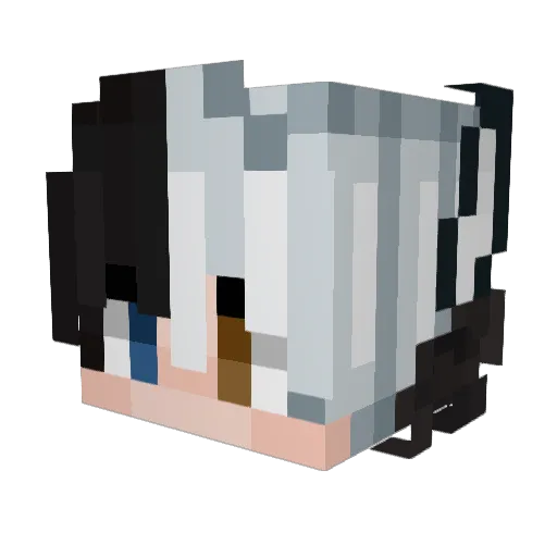 BrokenSymphony Minecraft avatar head, 3D render
