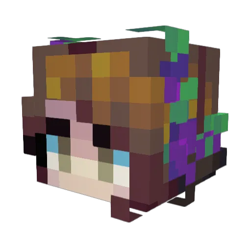 BrokenUpRainbows Minecraft avatar head, 3D render