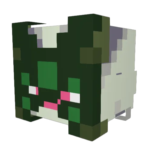 Broken__Spoon Minecraft avatar head, 3D render