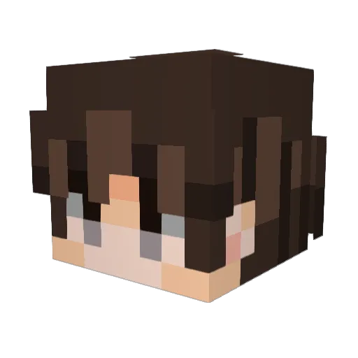 BrokkerMinecraft Minecraft avatar head, 3D render
