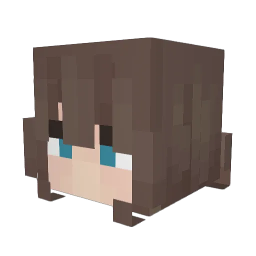 Brokolico Minecraft avatar head, 3D render