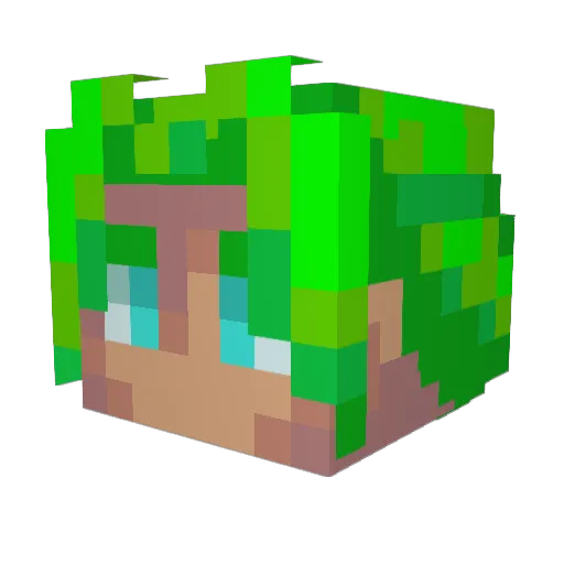BrolyElric Minecraft avatar head, 3D render