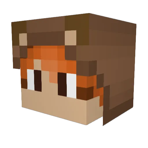 Bromsnorro Minecraft avatar head, 3D render