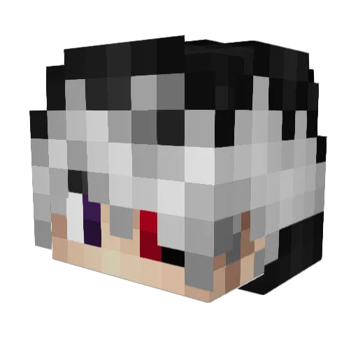 Bronczii Minecraft avatar head, 3D render