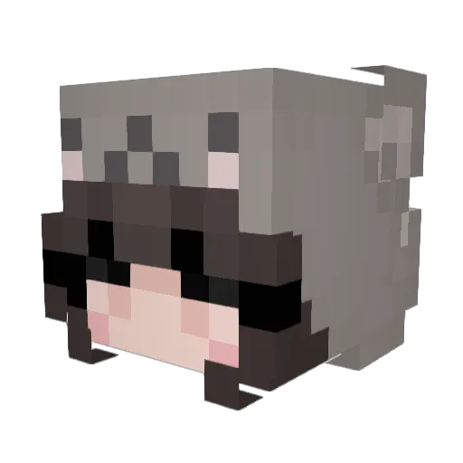 BroneWTF Minecraft avatar head, 3D render