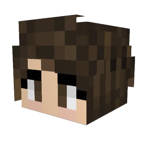 Bronnitz Minecraft avatar head, 3D render