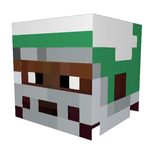 BronnyJames23 Minecraft avatar head, 3D render