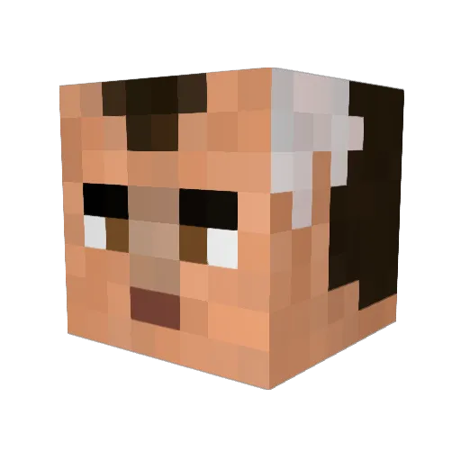 Bronogre Minecraft avatar head, 3D render