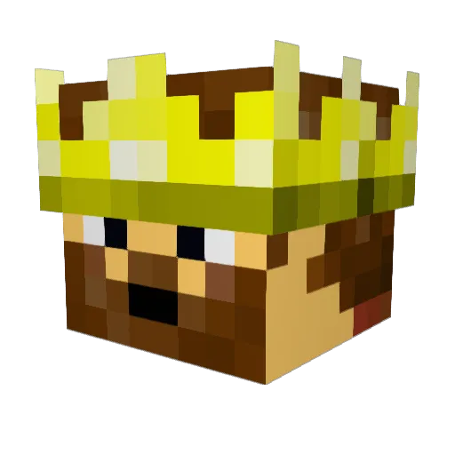 BronsonPlayz Minecraft avatar head, 3D render