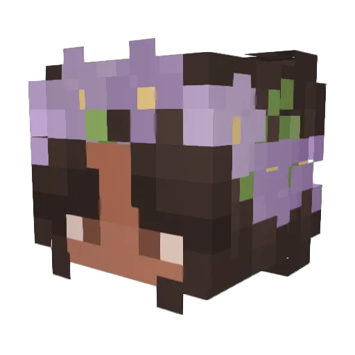 Bronszy Minecraft avatar head, 3D render