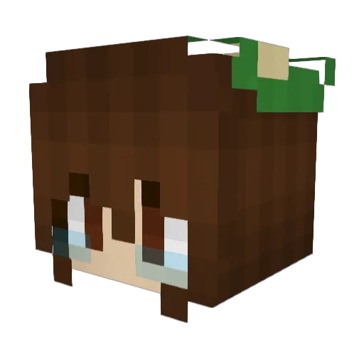 Brontophile Minecraft avatar head, 3D render