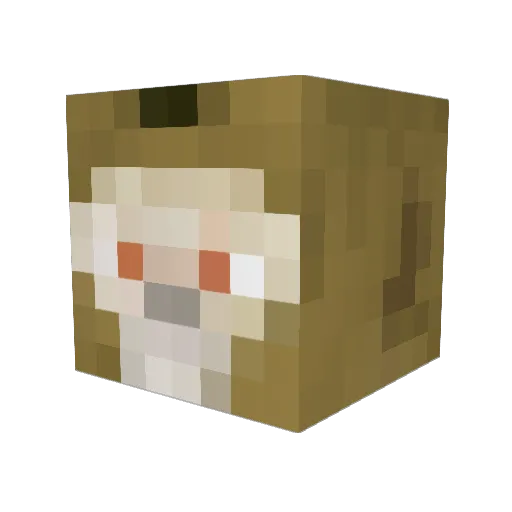 BronzScorpion Minecraft avatar head, 3D render